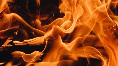 A brush fire is ripping through Long Island, New York. (Representational Image/ UnSplash) A brush fire is ripping through Long Island, New York. (Representational Image/ UnSplash)