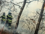 New York firefighters respond to a brush fire in Suffolk County in Long Island on Saturday, March 8, 2025. (Steve Pfost/Newsday via AP)