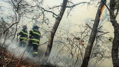 New York firefighters respond to a brush fire in Suffolk County in Long Island on Saturday, March 8, 2025. (Steve Pfost/Newsday via AP) (AP) New York firefighters respond to a brush fire in Suffolk County in Long Island on Saturday, March 8, 2025. (Steve Pfost/Newsday via AP) (AP)
