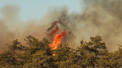 Fires continue to rage in and around the Pine Barrens region, which is located east of New York City. As of Saturday evening, officials reported that the Westhampton fire was 50% contained and three of the four fires were completely contained. (Steve Pfost/Newsday via AP) (AP) Fires continue to rage in and around the Pine Barrens region, which is located east of New York City. As of Saturday evening, officials reported that the Westhampton fire was 50% contained and three of the four fires were completely contained. (Steve Pfost/Newsday via AP) (AP)
