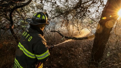 Firefighters respond to a brush fire in Suffolk County in New York's Long Island on Saturday, March 8, 2025. (Steve Pfost/Newsday via AP)/Newsday via AP) (AP) Firefighters respond to a brush fire in Suffolk County in New York's Long Island on Saturday, March 8, 2025. (Steve Pfost/Newsday via AP)/Newsday via AP) (AP)