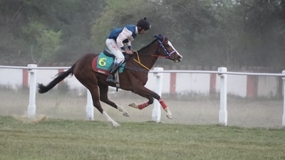 The event saw Indian-bred and thoroughbred horses competing The event saw Indian-bred and thoroughbred horses competing