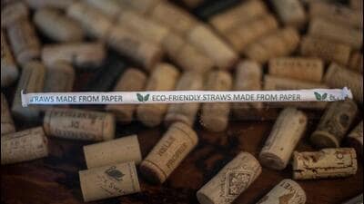 US President Donald Trump on February 7 criticised paper straws, vowing "back to plastic". (AFP Photo)