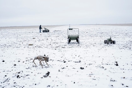 Russia Trots Out Its Newest Weapons in Ukraine: Horses Russia Trots Out Its Newest Weapons in Ukraine: Horses