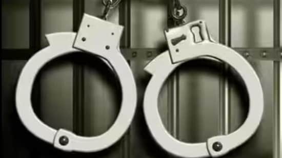 Bengaluru man reportedly started stealing under garments of women after watching explicit content online.