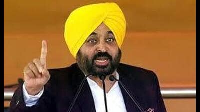 Chief minister Bhagwant Mann (HT File)