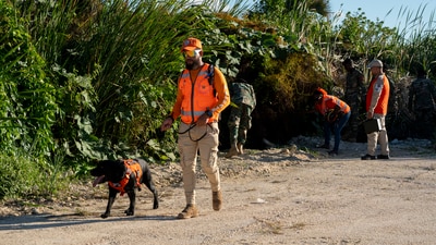 A member of the civil defence canine unit searches for Sudiksha Konanki, a university student from the US who disappeared on a beach in Punta Cana, Dominican Republic. (AP) A member of the civil defence canine unit searches for Sudiksha Konanki, a university student from the US who disappeared on a beach in Punta Cana, Dominican Republic. (AP)