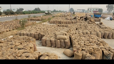 Paddy crop lying on the road near Behbal Kalan village . (HT File) Paddy crop lying on the road near Behbal Kalan village . (HT File)