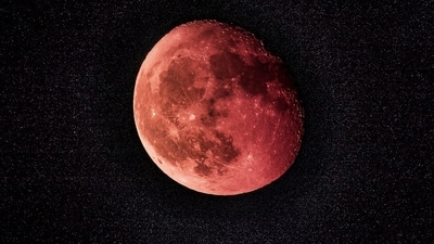 Early on March 13 and 14, 2025, the Earth passes directly between the sun and the moon, causing an eclipse. This eclipse, in contrast to others, will be viewable in some capacity from every US state. (Unsplash ) Early on March 13 and 14, 2025, the Earth passes directly between the sun and the moon, causing an eclipse. This eclipse, in contrast to others, will be viewable in some capacity from every US state. (Unsplash )