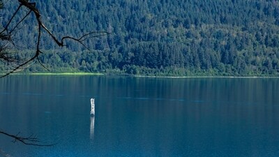A body has been found in Siletz River in Oregon during the search for Dane Paulsen. (Representational image/ UnSplash) A body has been found in Siletz River in Oregon during the search for Dane Paulsen. (Representational image/ UnSplash)