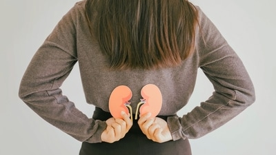 World Kidney Day 2025: Know all about chronic kidney disease. (Shutterstock) World Kidney Day 2025: Know all about chronic kidney disease. (Shutterstock)