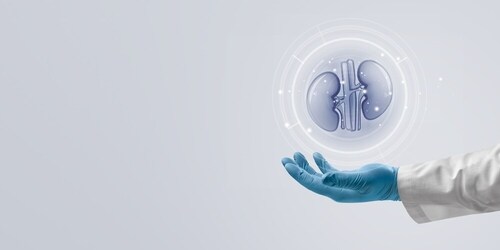 Know the advantages and disadvantages of dialysis and kidney transplantation. (Shutterstock) Know the advantages and disadvantages of dialysis and kidney transplantation. (Shutterstock)