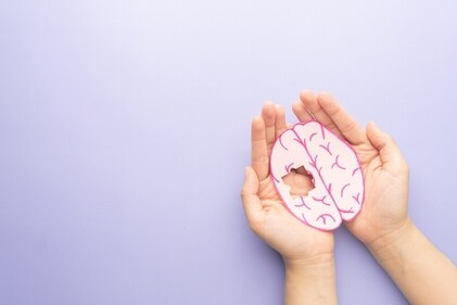 Know the effects of air pollution on the brain. (Shutterstock)