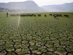 Breaching the 1.5-degree threshold represents a critical turning point for the planet, after which climate impacts become significantly more severe and widespread. (AFP/File) Breaching the 1.5-degree threshold represents a critical turning point for the planet, after which climate impacts become significantly more severe and widespread. (AFP/File)
