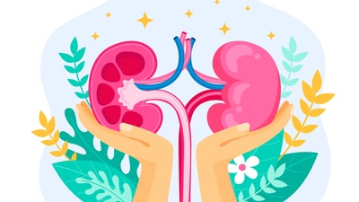 World Kidney Day 2025: This year's campaign theme is "Are Your Kidneys OK? Detect Early, Protect Kidney Health. (Representative picture: Freepik) World Kidney Day 2025: This year's campaign theme is "Are Your Kidneys OK? Detect Early, Protect Kidney Health. (Representative picture: Freepik)