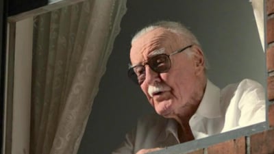 Stan Lee: The Final Chapter: Was the Marvel icon a veteran? (IMDb)