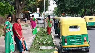 One afternoon, some seasons ago, this reporter landed into a New Delhi avenue with no flowers at all. (HT Photo)