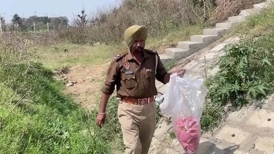 Police collected evidence from the spot from where the dead body of a woman was found in Village Alaur of Khanna in Ludhiana on Thursday, March 13, 2025. (HT Photothe)