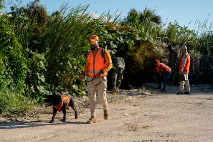 A member of civil defence canine unit searches for Sudiksha Konanki, a university student from the U.S. who disappeared on a beach in Punta Cana. (AP) A member of civil defence canine unit searches for Sudiksha Konanki, a university student from the U.S. who disappeared on a beach in Punta Cana. (AP)