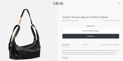 Screengrab of Dior's official website. (www.dior.com)