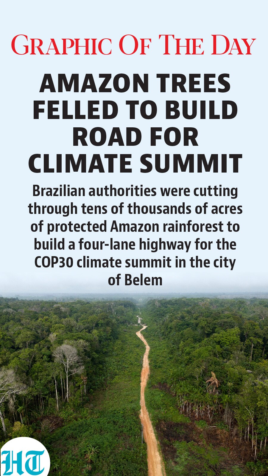 Amazon trees Amazon trees