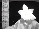 Pennsylvania police identified and arrested the man. Pennsylvania police identified and arrested the man.