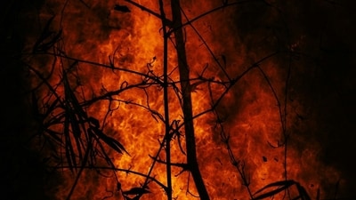 Multiple fast-moving wildfires have erupted across Oklahoma. (Representational image/ UnSplash) Multiple fast-moving wildfires have erupted across Oklahoma. (Representational image/ UnSplash)