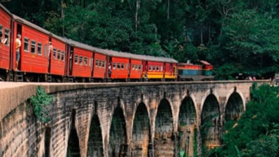 The incident took place in Sri Lanka on March 9. (Representational Image/Pexel) The incident took place in Sri Lanka on March 9. (Representational Image/Pexel)