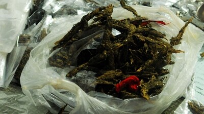 Authorities are intensifying efforts to trace the supply chain and curb the smuggling of illegal substances in the region. (File) (Pic used for representation) ( HT Photo/Parwaz Khan)