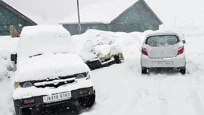 Vehicles seen covered in a thick blanket of snow after the area receives fresh snowfall, at Gulmarg in Baramulla on Saturday. (ANI - X) Vehicles seen covered in a thick blanket of snow after the area receives fresh snowfall, at Gulmarg in Baramulla on Saturday. (ANI - X)