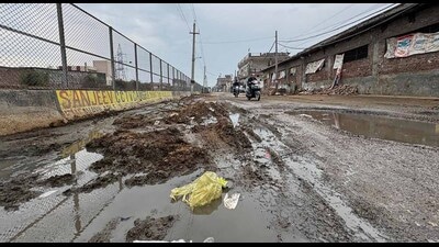 Cow dung thrown on streets of Blocks A and B of Tajpur Road in Ludhiana on Saturday. (Gurpreet Singh/HT)
