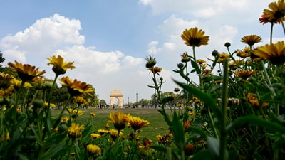 As of 7 pm on Saturday, the Anand Vihar air quality monitor recorded an AQI of 80, CPCB data showed. (ANI/File) As of 7 pm on Saturday, the Anand Vihar air quality monitor recorded an AQI of 80, CPCB data showed. (ANI/File)
