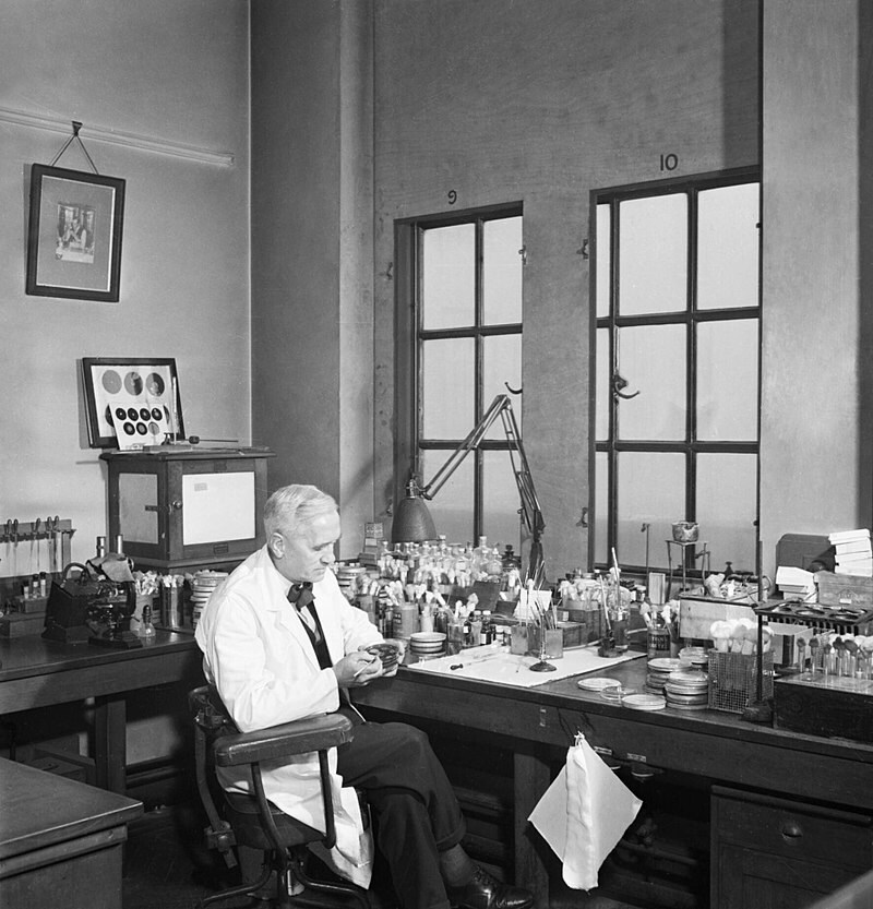 Scottish bacteriologist Alexander Fleming. (Wikimedia Commons)