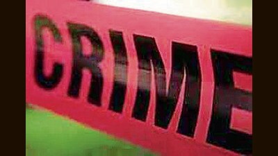 According to the complainant, Jaspreet Singh from Jassowal, his neighbour Lakhvir Singh often caused disturbances in the area after consuming alcohol. (HT File)