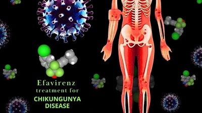 As per the findings, Efavirenz, a drug widely used for HIV treatment, may serve as an effective therapy for Chikungunya disease, as it has been shown to reduce Chikungunya virus replication both in vitro and in mice models. (Handout) As per the findings, Efavirenz, a drug widely used for HIV treatment, may serve as an effective therapy for Chikungunya disease, as it has been shown to reduce Chikungunya virus replication both in vitro and in mice models. (Handout)
