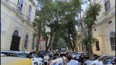 The Town Hall complex in Chandni Chowk. (HT Photo) The Town Hall complex in Chandni Chowk. (HT Photo)
