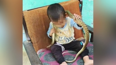A viral video showed a toddler playing with a snake as an adult filmed instead of intervening. (Instagram/@vivek_choudhary_snake_saver) A viral video showed a toddler playing with a snake as an adult filmed instead of intervening. (Instagram/@vivek_choudhary_snake_saver)
