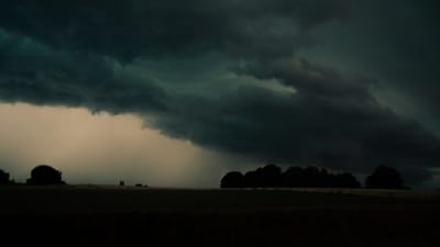 Severe weather risk rises for Florida Panhandle as spring break 2025 begins. Tornado Watch and Wind Advisory in effect for several counties due to a powerful storm system. (Representational image- Unsplash ) Severe weather risk rises for Florida Panhandle as spring break 2025 begins. Tornado Watch and Wind Advisory in effect for several counties due to a powerful storm system. (Representational image- Unsplash )