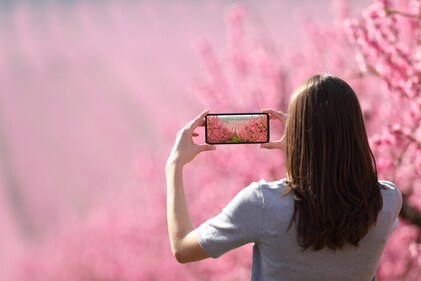 Even when seen nature virtually, one can reap the neurological effects. (Shutterstock) Even when seen nature virtually, one can reap the neurological effects. (Shutterstock)