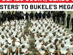 Trump Deports 100s of 'Gangsters' To Bukele's Mega Prison Amid US Court's ‘No’ Trump Deports 100s of 'Gangsters' To Bukele's Mega Prison Amid US Court's ‘No’