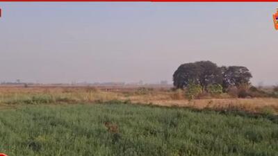 Vasai village gets VVCMC to junk dumping ground plan Vasai village gets VVCMC to junk dumping ground plan