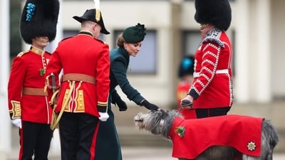 TOPSHOT - Britain's Catherine, Princess of Wales (C) pets the Irish Wolfhound named Turlough Mor as she attends St Patrick's Day Parade at Wellington Barracks, central London, on March 17, 2025. (Photo by Adrian DENNIS / AFP) (AFP)