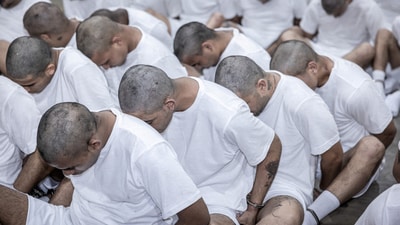 Alleged members of the Venezuelan gang Tren de Aragua recently deported by the U.S. government are processed to be imprisoned in the Terrorism Confinement Center (CECOT) prison, as part of an agreement with the Salvadoran government, in Tecoluca, El Salvador. (REUTERS)