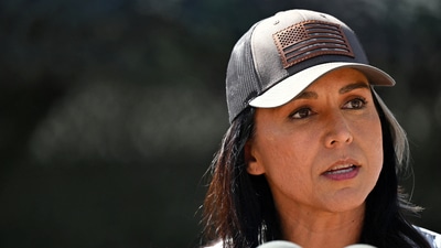 US Director of National Intelligence Tulsi Gabbard on Monday met defence minister Rajnath Singh. (REUTERS/File)