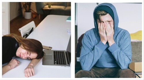 Napping lets your brain rest and recharge, after long hours of wakefulness. (Unsplash) Napping lets your brain rest and recharge, after long hours of wakefulness. (Unsplash)