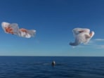 A video shared by SpaceX captured the moment SpaceX's Crew-9 capsule splashed down on Earth. A video shared by SpaceX captured the moment SpaceX's Crew-9 capsule splashed down on Earth.