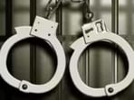 The Virar police had registered a case under IPC sections 302, 363, and 34. The Virar police had registered a case under IPC sections 302, 363, and 34.