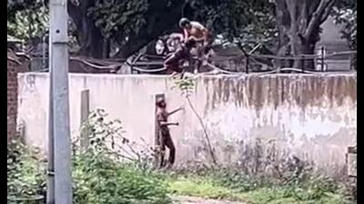 Outsiders were seen jumping the wall through gaps in the barbed wire near Gate Number 2 to enter Panjab University to play Holi on March 14. (HT File) Outsiders were seen jumping the wall through gaps in the barbed wire near Gate Number 2 to enter Panjab University to play Holi on March 14. (HT File)