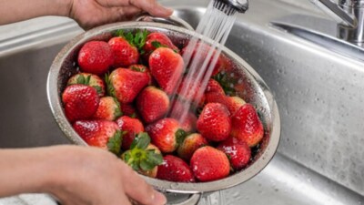 Are you cleaning your fruits the right way? Nutritionist Deepsikha Jain shares her 3-step guide. (Representative picture: Freepik) Are you cleaning your fruits the right way? Nutritionist Deepsikha Jain shares her 3-step guide. (Representative picture: Freepik)