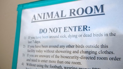 A view shows a sign with bird flu protocols on the door of a poultry house at the University of California, Davis. (Reuters)